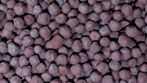 108114_1713857837_small.png